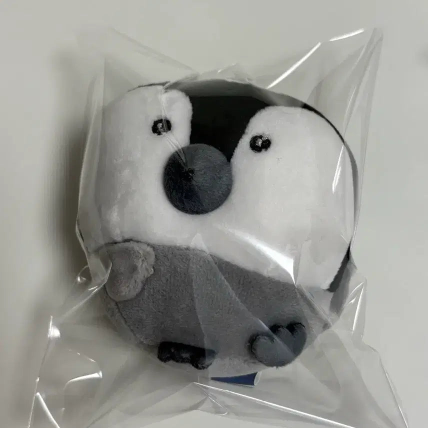 [BUNJANG] Nagano Penguin Keyring / 나가노 펭귄 키링