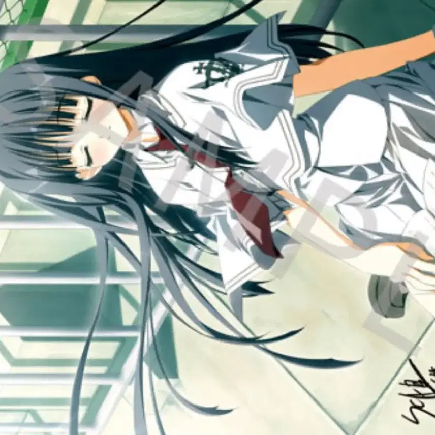 [BUNJANG] Subarashiki Hibi Zakuro Reproduction Art Canvas / [미품] 스바라시키히비 스바히비 멋진나날들 자쿠로 복제원화캔버스