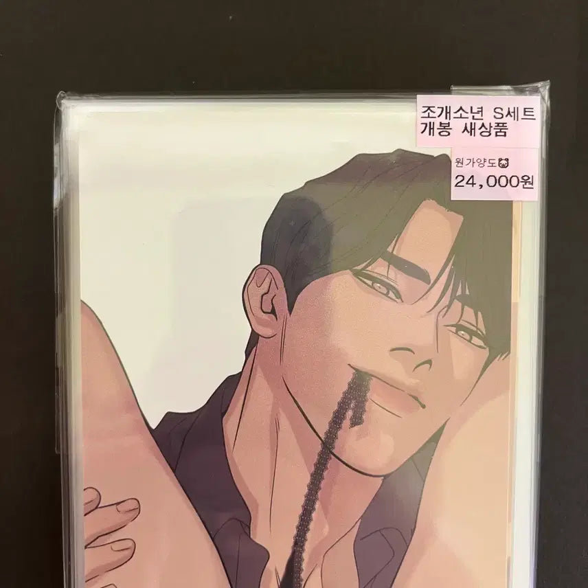 [BUNJANG] MoFun Seagull Boys Dooshik Juhah S Set Postcard / 모펀 조개소년 두식 주하 s세트 엽서 굿즈 희귀매물