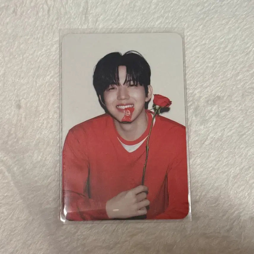 [BUNJANG] Day6 Dowoon KitKat Photocard / 데이식스 도운 day6 dowoon 킷캣 포카