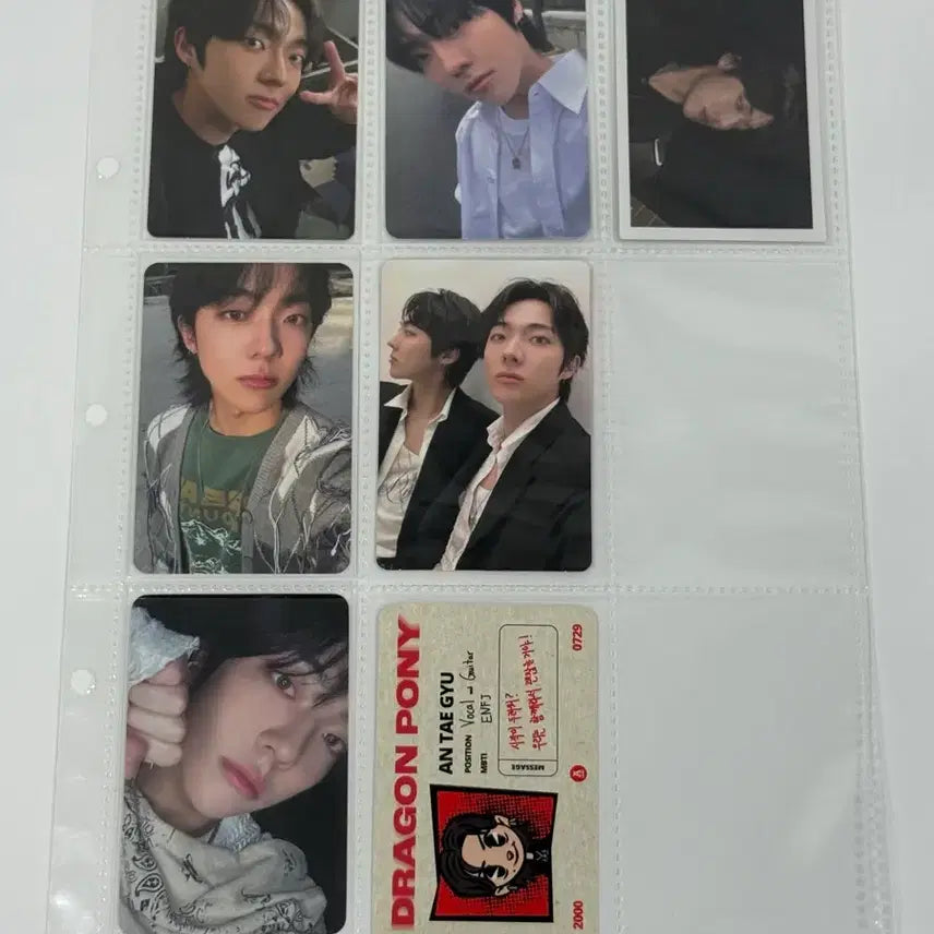 [BUNJANG] DragonPony Ahn Taekyu Bundle Set Photocard / 드래곤포니 안태규 포카 일괄 공방 앨범