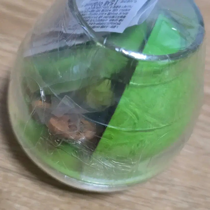 [BUNJANG] Tamagotchi Capsuleum Terrarium Gacha / 다마고치 캡슐리움 테라리움 가챠