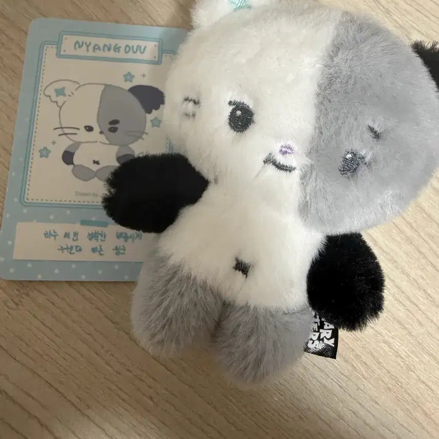 [BUNJANG] Nyangdu Photocard Holder / 냥듀판매