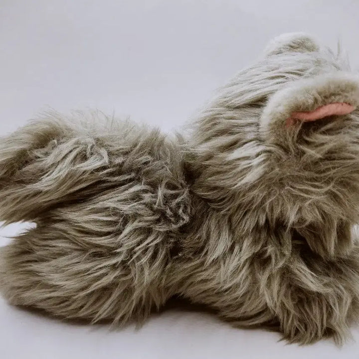 [BUNJANG] Baby Chartreux Cat Plush / 베이비 샤트룩스 고양이 인형