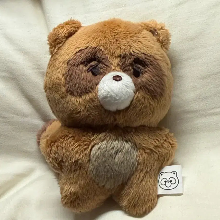 [BUNJANG] The Boyz Sunwoo Squirrel Plush Doll / 더보이즈 선우 인형 쪼구리