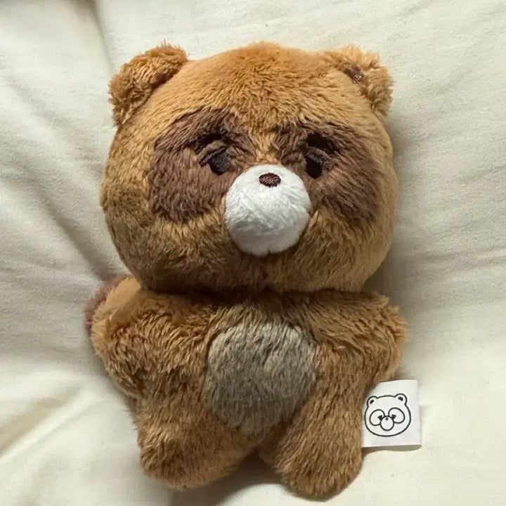 [BUNJANG] The Boyz Sunwoo Squirrel Plush Doll / 더보이즈 선우 인형 쪼구리