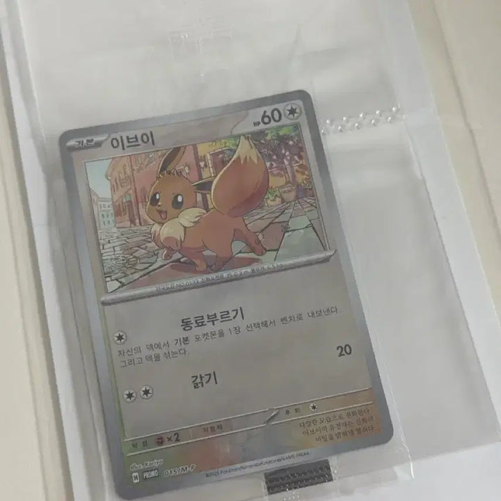 [BUNJANG] Pokemon Relaxing Vacation Busan Pokemon School Eevee Card + Card Case / 포켓몬 느긋느긋바캉스 부산 포켓몬스쿨 이브이카드+카드보관함