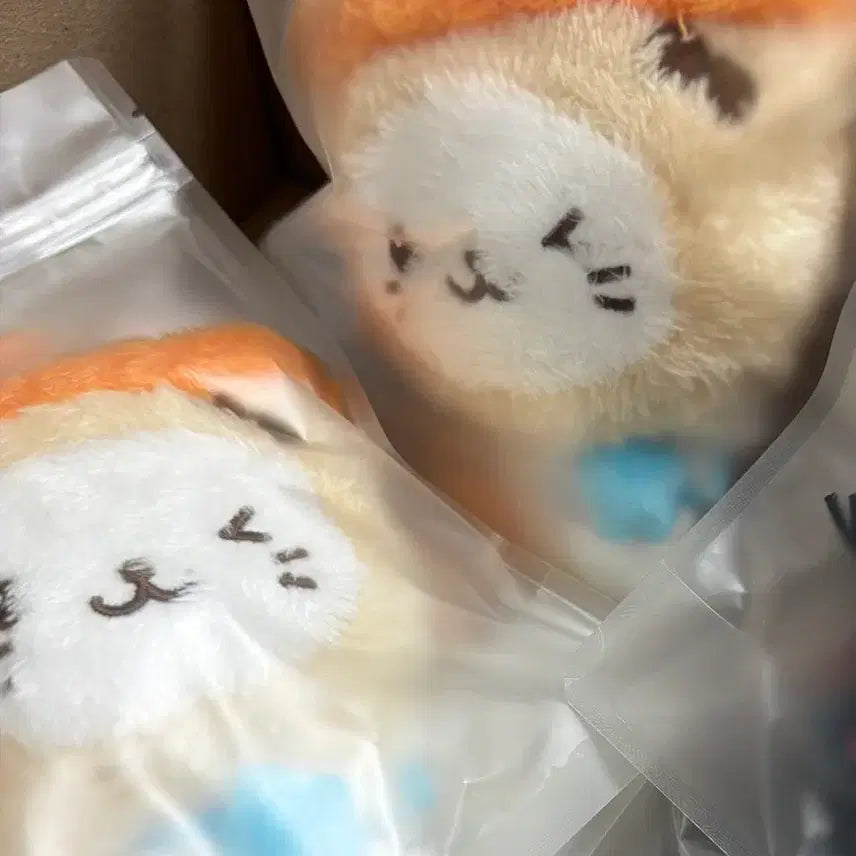 [BUNJANG] NCT WISH Bubble Cat Sealed Photocard Holder / NCT WISH 미개봉 위시돌 버블냥 양도합니다