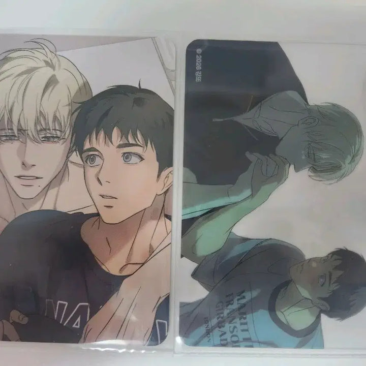 [BUNJANG] Backlight Sparkles 10th Special Edition Photocard / 백라이트 스파클즈 10특(아직 안팔림!