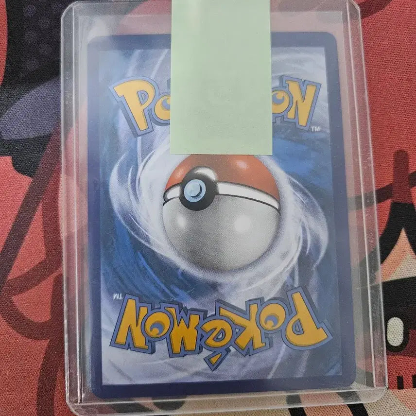 [BUNJANG] Pokemon Card English Version &