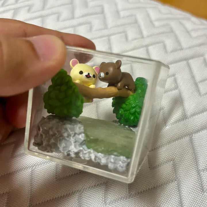 [BUNJANG] Rilakkuma Honey Forest Terrarium Series (Discontinued, Opened Display Item) / 리락쿠마 벌꿀 숲의 테라리움 시리즈 (단종, 개봉 전시품)