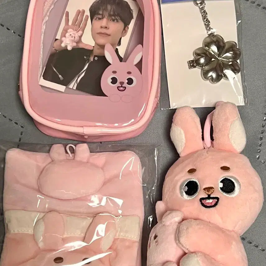 [BUNJANG] Day6 Danimals Petitmalls Wonpil Photocard / [택포/원가이하] 데이식스 데니멀즈 쁘띠멀즈 원필 필 판매