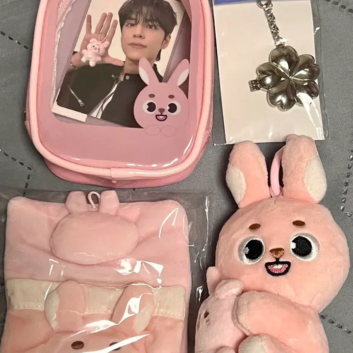 [BUNJANG] Day6 Danimals Petitmalls Wonpil Photocard / [택포/원가이하] 데이식스 데니멀즈 쁘띠멀즈 원필 필 판매