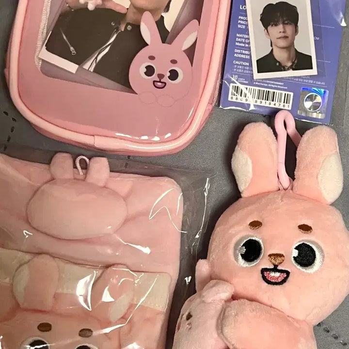 [BUNJANG] Day6 Danimals Petitmalls Wonpil Photocard / [택포] 데이식스 데니멀즈 쁘띠멀즈 원필 필 판매