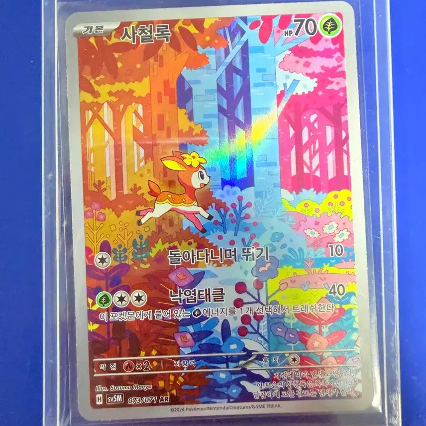 [BUNJANG] Pokemon Card Iron Ball AR Card / 포켓몬카드 사철록 AR 카드