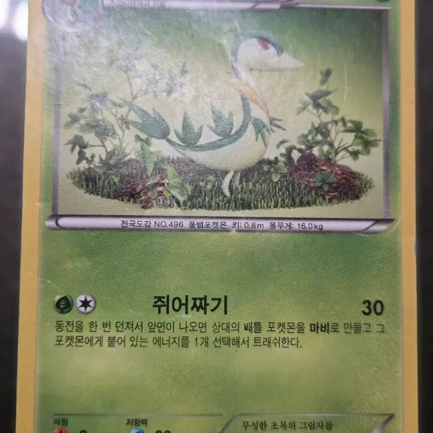 [BUNJANG] Ancient Pokémon Cards / 고대 포켓몬카드