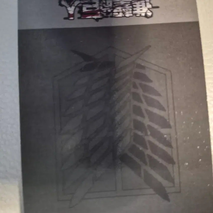 [BUNJANG] Attack on Titan Levi Goods / 진격의거인 리바이 굿즈