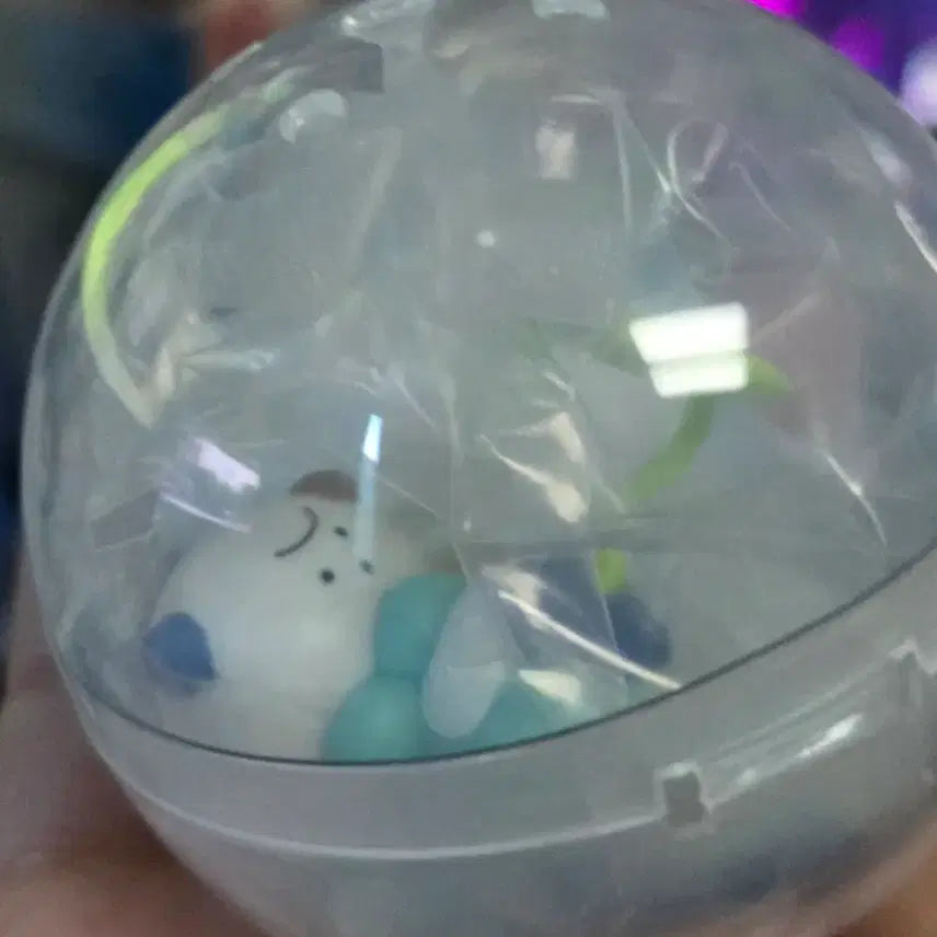 [BUNJANG] Pokemon Capsule Gacha Summer Figure Dudungsi Su-daeng-i Set / 포켓몬 캡슐 가챠 썸머피규어, 두둥실 수댕이 세트