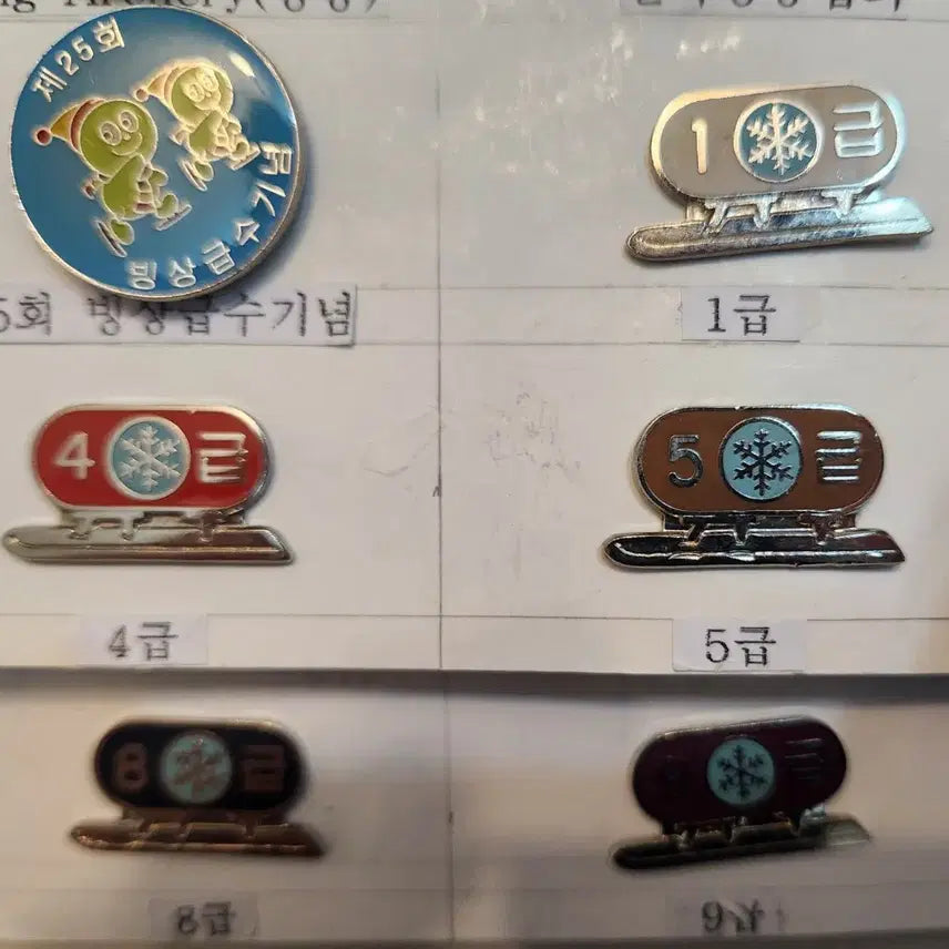 [BUNJANG] Speed Skating Pins Bundle Set (30 pcs) / 역사자료, 다양한 스피드 스케이팅 뱃지 30개 일괄