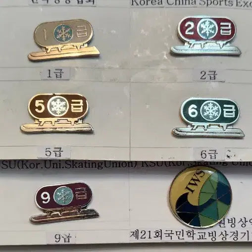 [BUNJANG] Speed Skating Pins Bundle Set (30 pcs) / 역사자료, 다양한 스피드 스케이팅 뱃지 30개 일괄