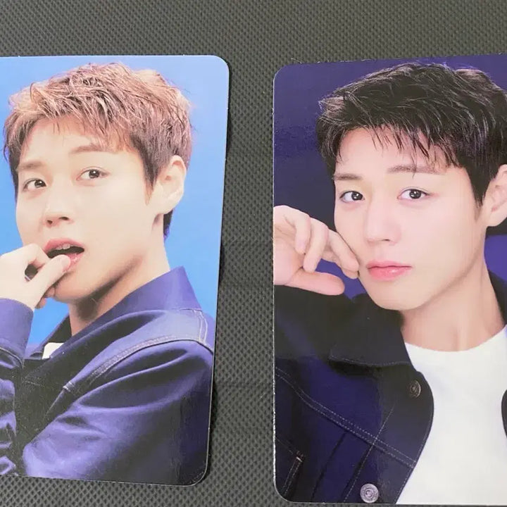 [BUNJANG] Park Jihoon MakePrem Photocard Set C (Damaged) / 박지박 메이크프렘 포카 C세트(하자있음)