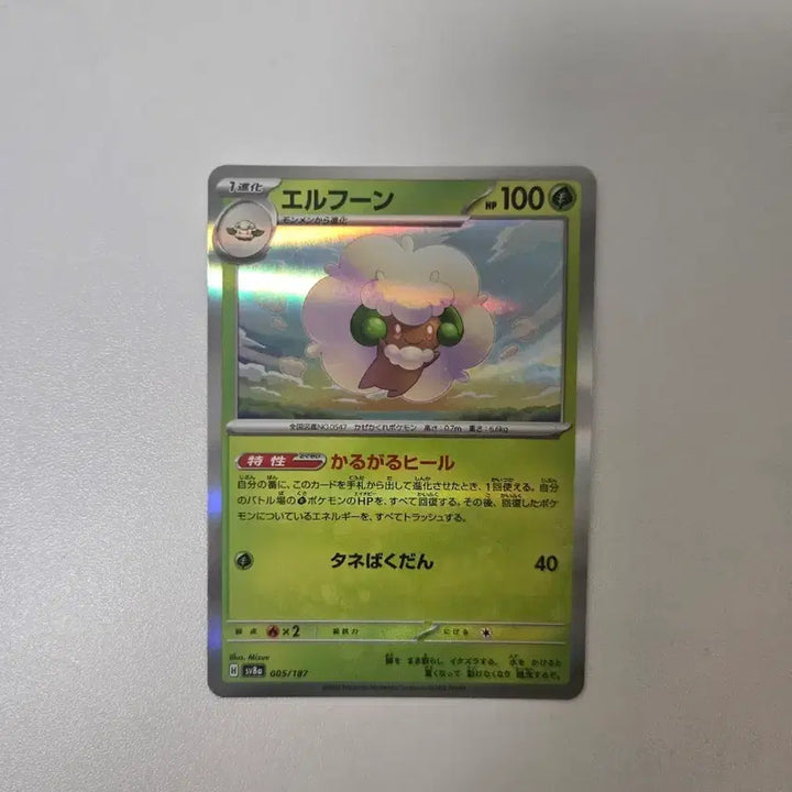 [BUNJANG] Pokemon Card Elfu / 포켓몬스터 카드 엘풍 일판