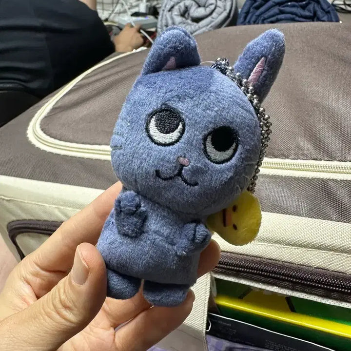[BUNJANG] Toy Cat Fanclub 1st Generation / 토냥덕 1기