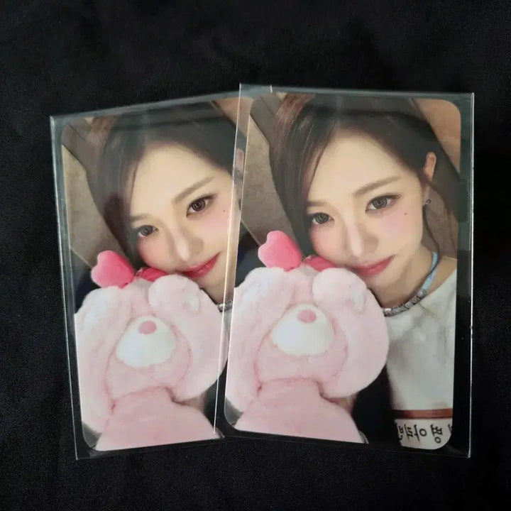 [BUNJANG] IVE Jang Wonyoung Everland Admission Photocard / 아이브 장원영 에버랜드 입장 포카