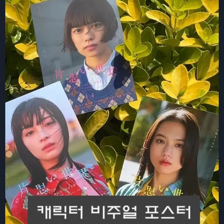 [BUNJANG] Jjak Sarang Segye Original Ticket, Visual Poster Postcard 3-Set / 짝사랑세계 오리지널티켓, 비주얼포스터 엽서 3종SET