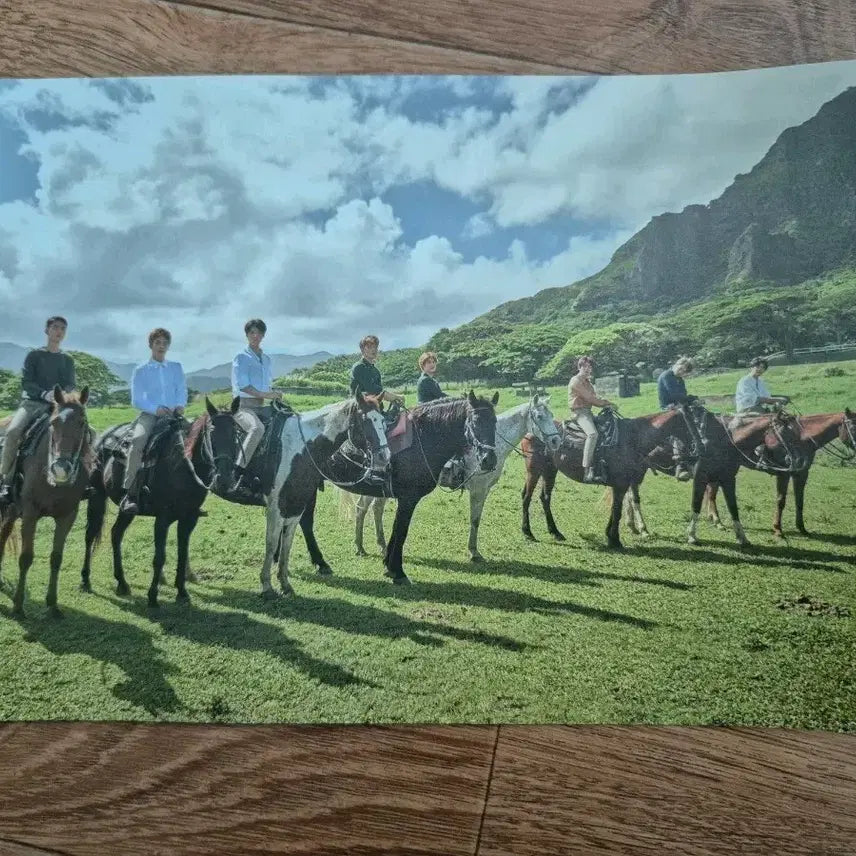 [BUNJANG] EXO Member Photobook / 엑소 멤버 포토 화보