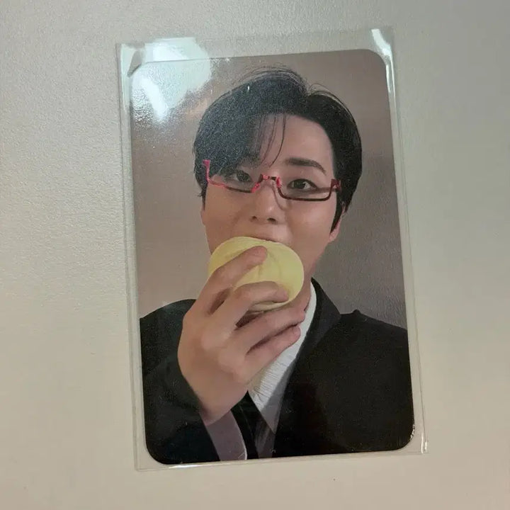 [BUNJANG] Young K Musinsa POB Photocard / 영케이 안경만두 포카 무신사 미공포