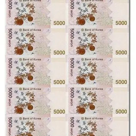 [BUNJANG] 2021 First Edition 5000 KRW Banknote Set (16 pcs) - Gift &amp; Collection / (21년최초발행분) 오천원전지 16매 연결권 [선물 소장]