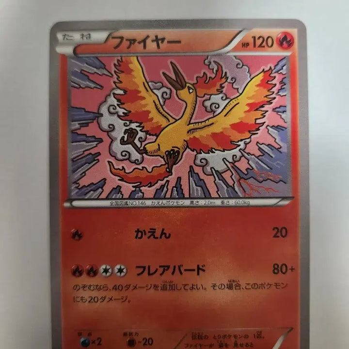 [BUNJANG] 1st Edition Moltres Japanese XY10 Awakening Super King Card / 1EDITION 포켓몬 카드 파이어 일본판 카드 판매합니다.