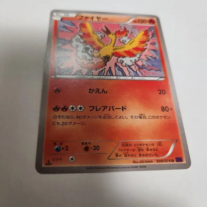 [BUNJANG] 1st Edition Moltres Japanese XY10 Awakening Super King Card / 1EDITION 포켓몬 카드 파이어 일본판 카드 판매합니다.