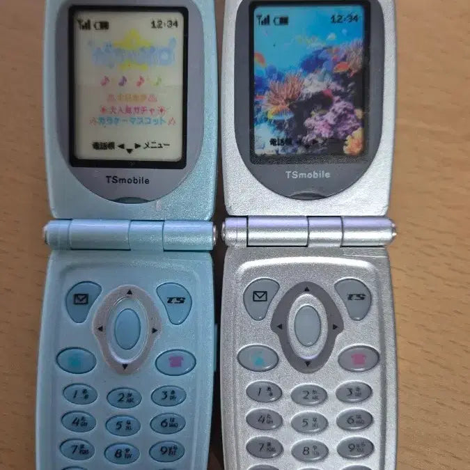 [BUNJANG] Folder Phone Gacha Silver + Blue Bundle Set / 폴더폰 가챠 실버+블루 일괄