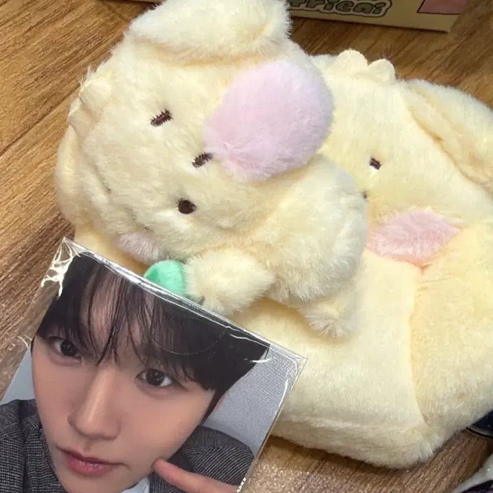 [BUNJANG] Dangt Nini Room Plush Set + Scarf Bundle / (일괄 안전결제)댕트니니 룸플러시 세트+스카프