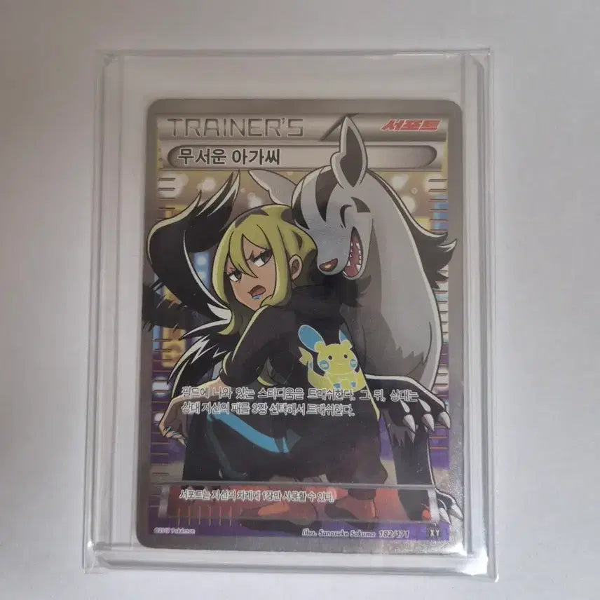 [BUNJANG] Pokemon Card Trainer &
