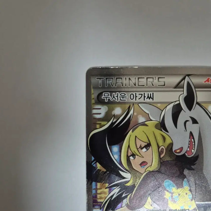 [BUNJANG] Pokemon Card Trainer &
