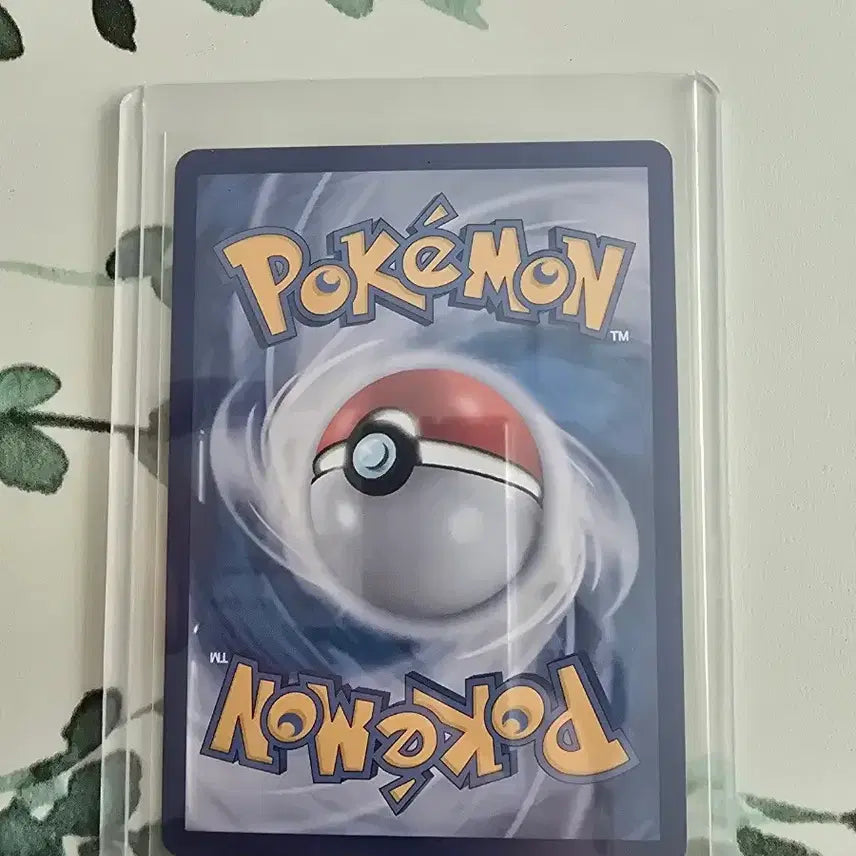 [BUNJANG] Pokemon Card Eevee ex SAR Korean Edition / 포켓몬카드 테라스탈 이브이 ex SAR 한글판