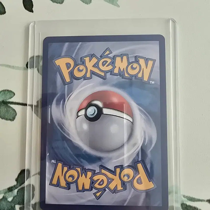 [BUNJANG] Pokemon Card Eevee ex SAR Korean Edition / 포켓몬카드 테라스탈 이브이 ex SAR 한글판
