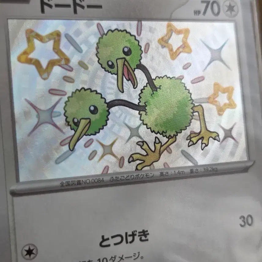 [BUNJANG] Japanese Edition Shiny Doduo Pokemon Card / 일판(일본판) 포켓몬카드 이로치 두두 (이로치 카드)