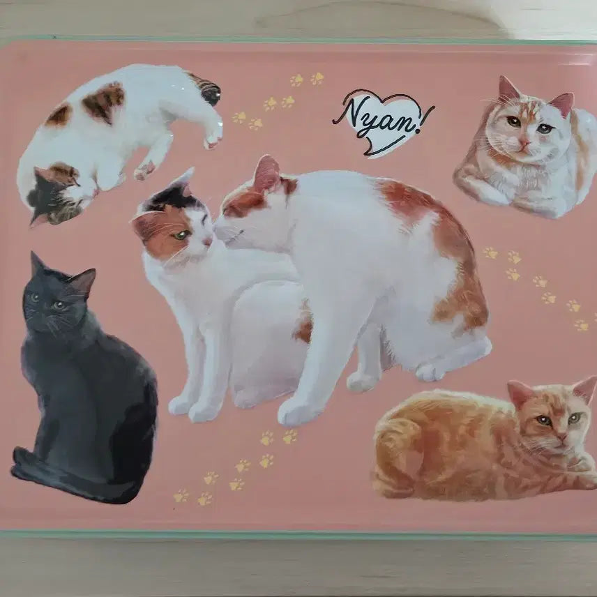 [BUNJANG] Merry Chocolate Neko Tin Case / 메리 초콜릿 네코 틴케이스 (2024)