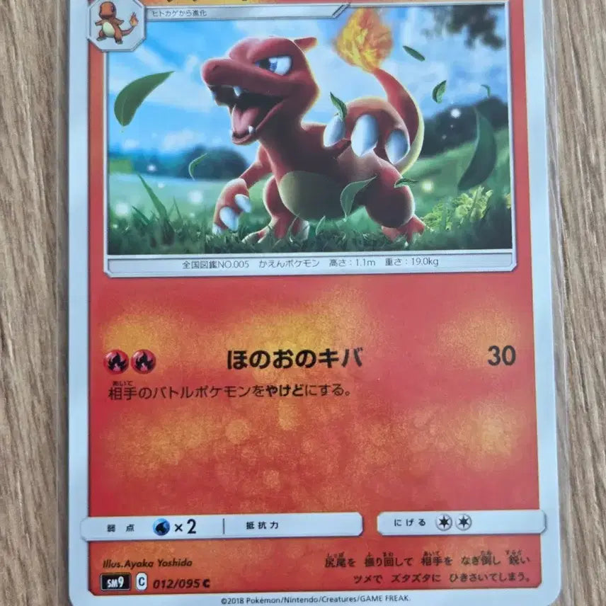 [BUNJANG] Pokemon Card Lizard 2-Type Set (Japan Edition 2018, 2021) / 일판(일본판) 포켓몬카드 2018년 2021년 리자드 2종 세트