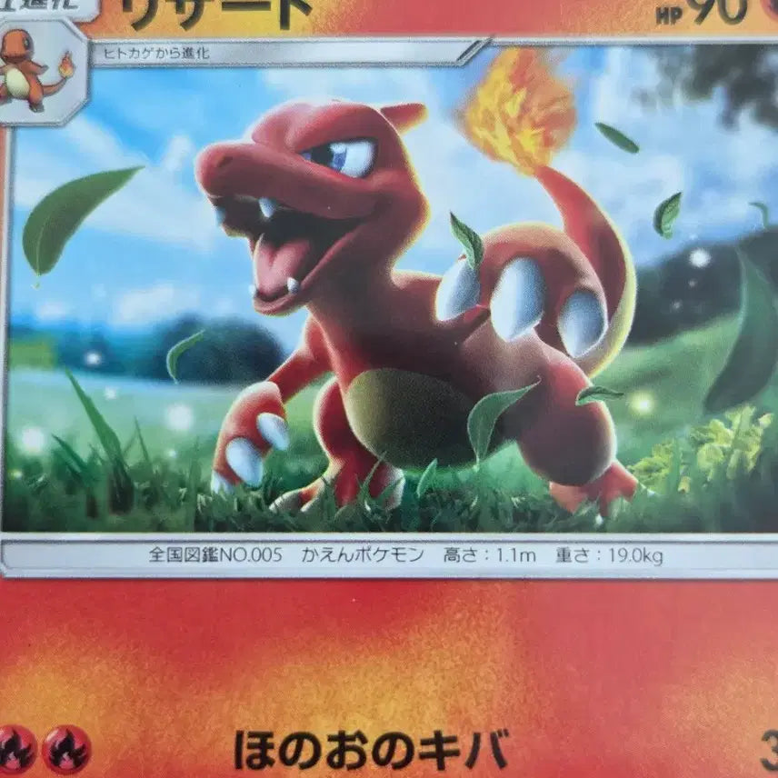 [BUNJANG] Pokemon Card Lizard 2-Type Set (Japan Edition 2018, 2021) / 일판(일본판) 포켓몬카드 2018년 2021년 리자드 2종 세트
