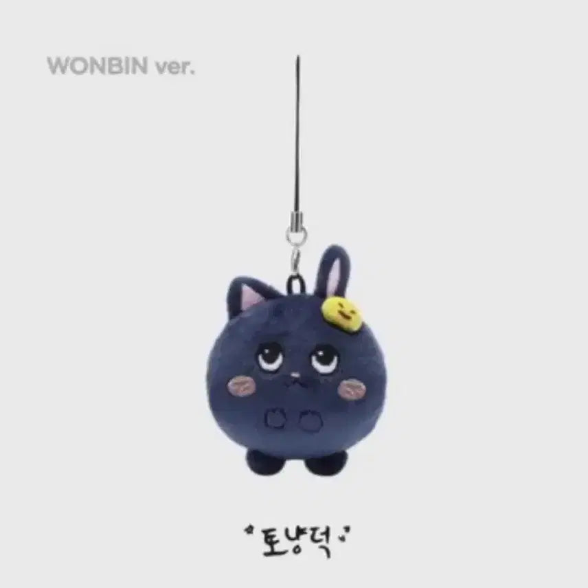 [BUNJANG] RIIZE Wonbin Mini TonYang Deok / 라이즈 원빈 미니토냥덕 양도
