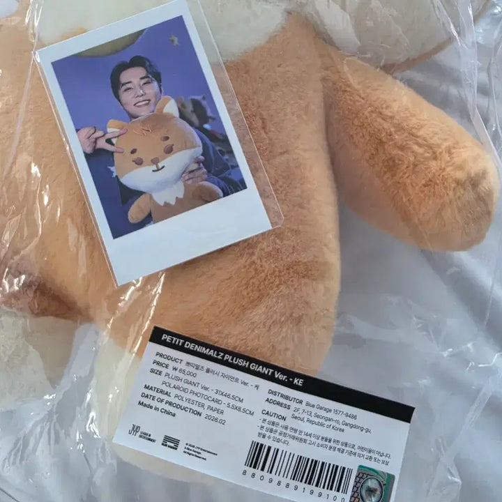 [BUNJANG] DAY6 Giant Petit Merz K [Polaroid] Sealed / 미개봉 원가 데이식스 md 자이언트 쁘띠멀즈 케 + 폴라