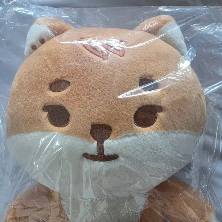 [BUNJANG] DAY6 Giant Petit Merz K [Polaroid] Sealed / 미개봉 원가 데이식스 md 자이언트 쁘띠멀즈 케 + 폴라