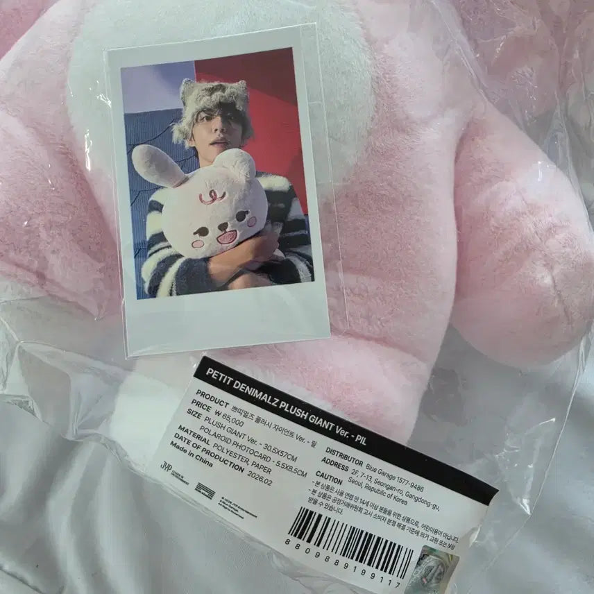 [BUNJANG] Day6 Day6 Giant Petit Merz Phil Photocard Bundle Set / 미개봉 원가 데이식스 md 자이언트 쁘띠멀즈 필 + 폴라