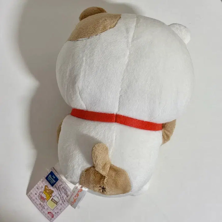 [BUNJANG] Sanrio Pompompurin Muffin Cat Plush 20cm / 산리오 폼폼푸린 머핀 고양이 인형