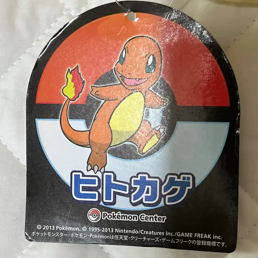 [BUNJANG] Pokemon Center Japan Charmander Display Figure / 일본 포켓몬센터 파이리